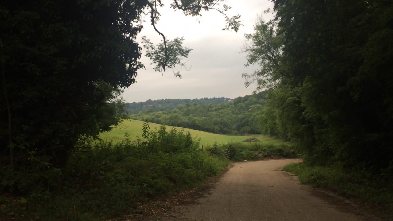 It took a while to find - UK Bigfoot Research