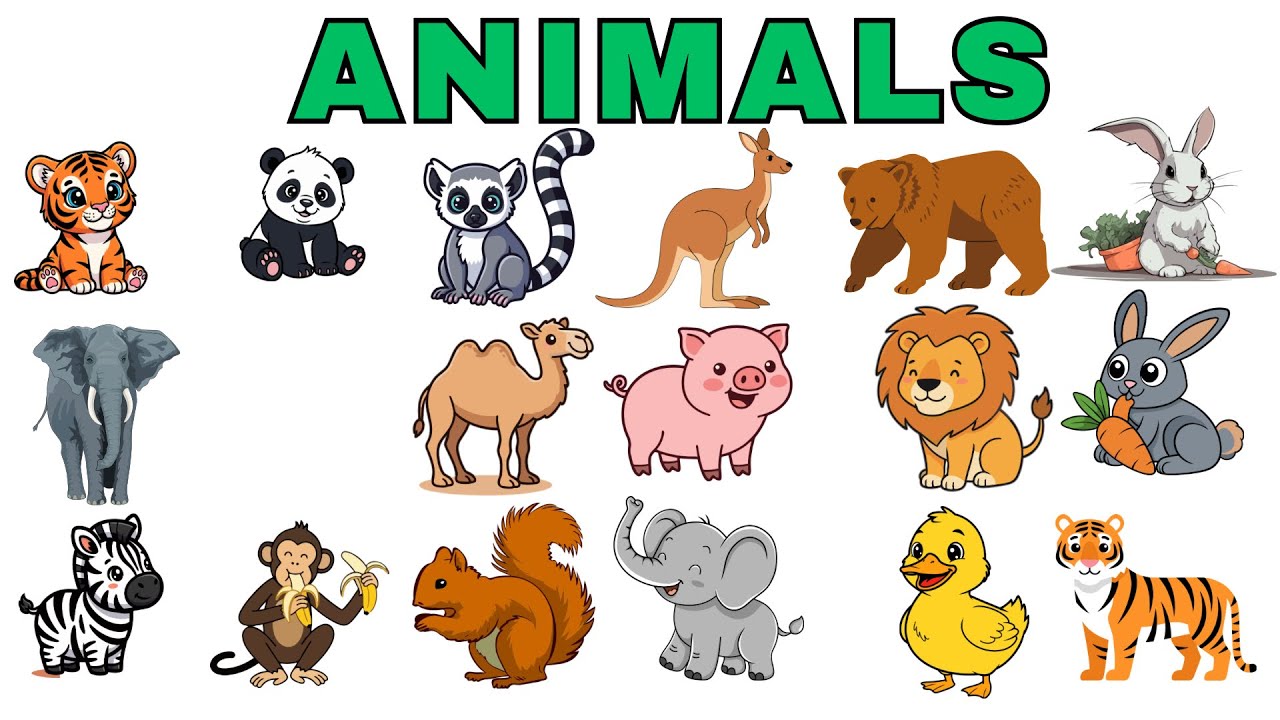 20 Animals Names for Kids | Animals Names for baby