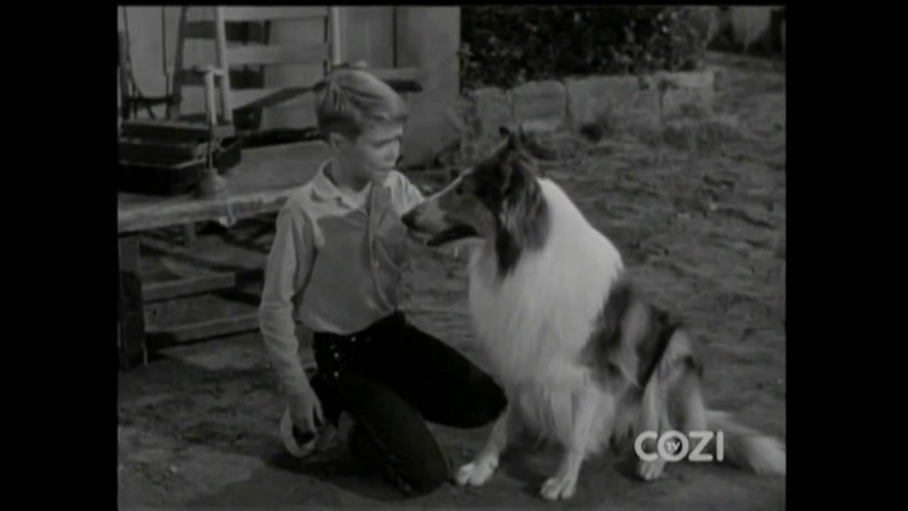 Lassie Episode 325 The Agreement Season 10 Ep 2 10031963 Youtube 