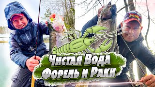 Открытие ловли форели | Есино СК Чистая Вода | Ловля форели на силикон