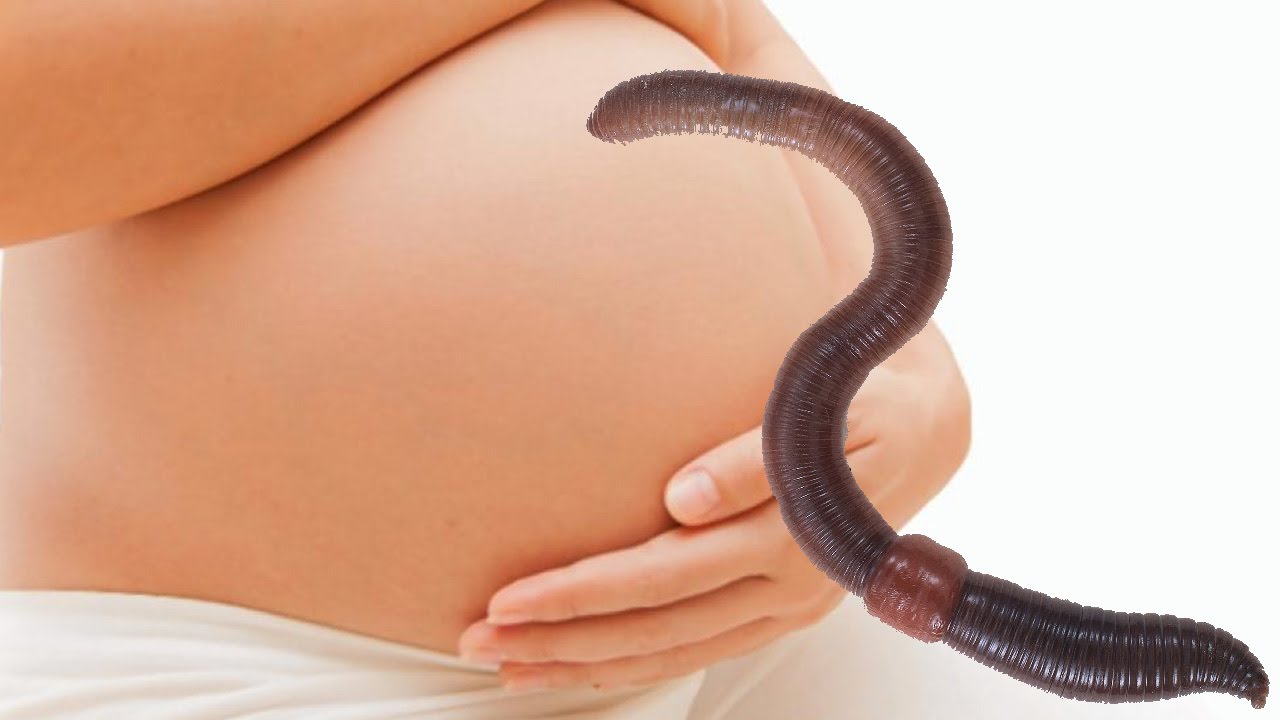 Worm Gets Woman Pregnant - YouTube