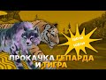 ПРОКАЧКА гепарда и тигра! | Wildcraft
