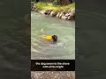 "Heart of a Hero: Dog Performs the Ultimate Rescue"#kindness #rescue #shortsfeed #shorts #trending