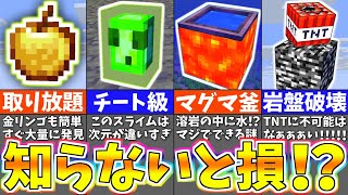 【マイクラ1.19】あなたの知らない隠されたバグ裏技・小ネタまとめ【一気見】【まいくら・マインクラフト】