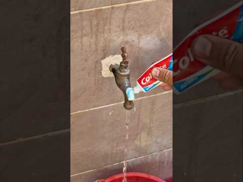 الرمال   المراه   الجيلي  الفوارس