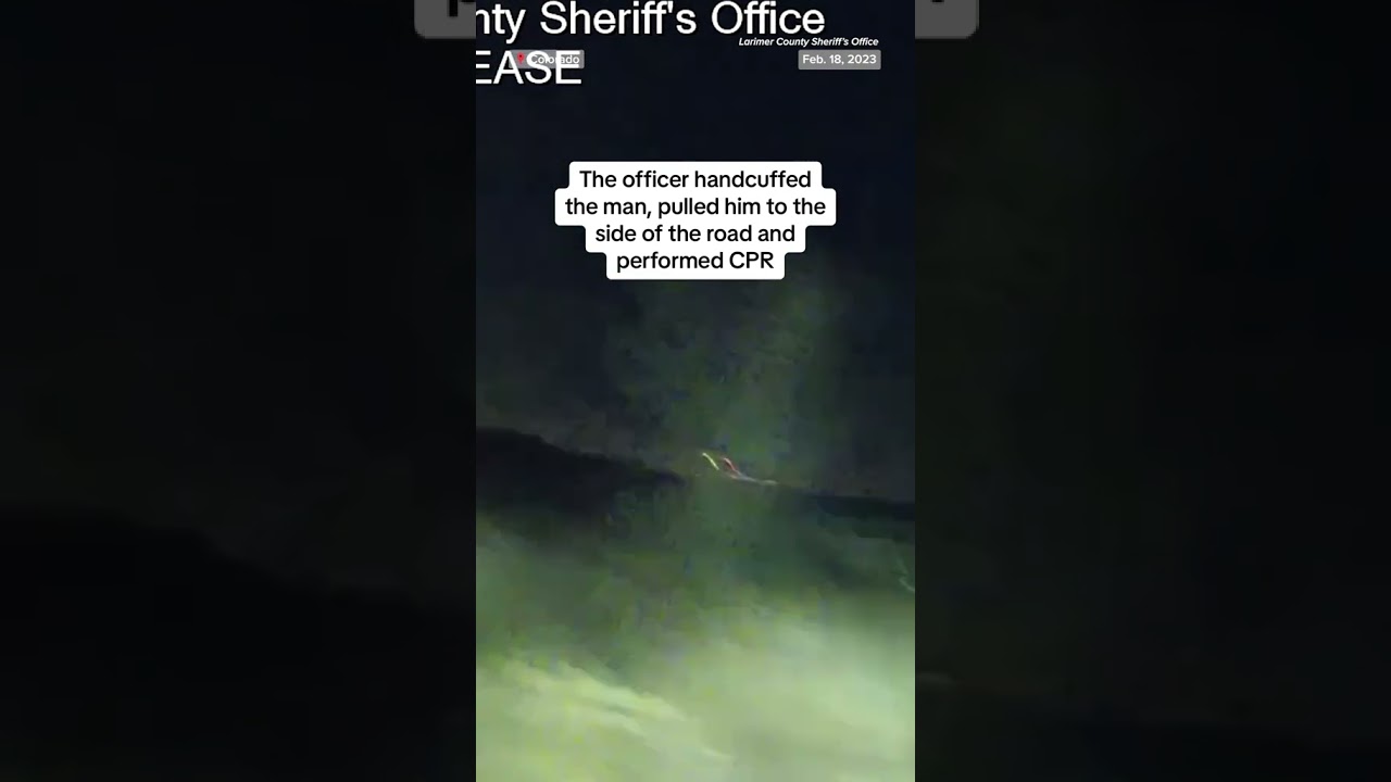 Man stunned by deputy before being fatally hit by car