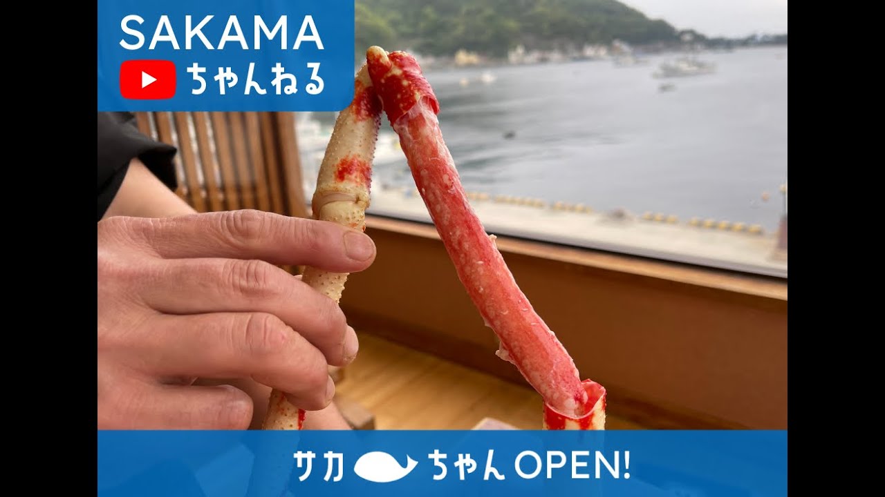 食べて応援 世界最大級のタカアシガニを通して 西伊豆 戸田の漁業を支援したい クラウドファンディング Zenes 食べて応援 世界最大級のタカアシガニを通して 西伊豆 戸田の漁業を支援したい クラウドファンディング Zenes