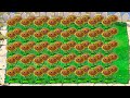 99 Gatling Pea vs Red Sunflower vs All Zombies PvZ Hack