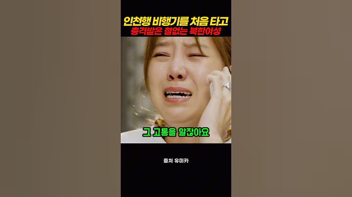 인천공항 행 비행기를 처음 타고 충격 받은 북한 여성