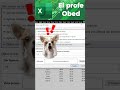 Opción de Bordes en Celdas. #excel #excelformula #excelfunction #exceltutorial #exceltricks