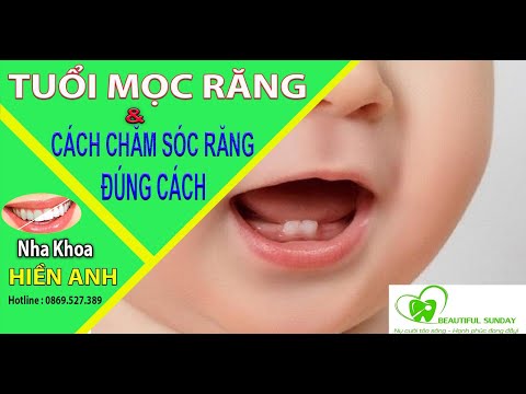 cach cham soc rang tại Kemtrinam.vn