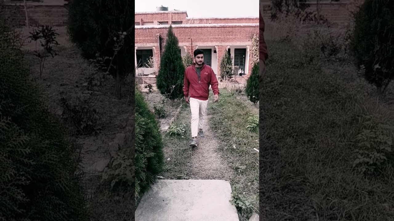 LS college Muzaffarpur #lscollege #muzaffarpur