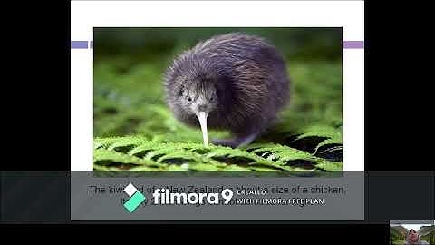 Discovery Based Science (Inductive Method) & The Hypothetico-Deductive Method (Deductive Method)