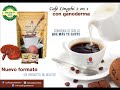 GANODERMA LUCIDUM, CAFÉ NEGRO PARA QUÉ SIRVE