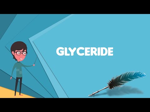 What is Glyceride? Explain Glyceride, Define Glyceride, Meaning of Glyceride