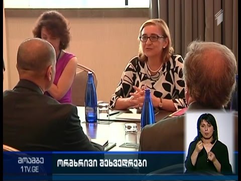 თამარ ბერუჩაშვილის შეხვედრა ევროკავშირი - საქართველოს საპარლამენტო კომიტეტის თანათავმჯდომარესთან