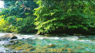 Cozy Ember ASMR 🌿 Pure River Flow & Gentle| No Talking No Music Sleep Relax