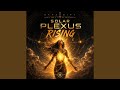 Solar Plexus Rising
