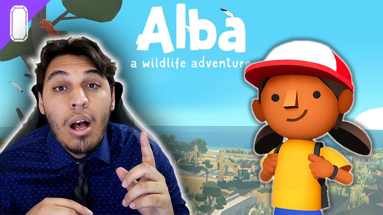 Taking Pictures of Birds in Alba a Wildlife Adventure!