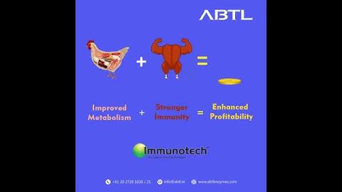 IMMUNOTECH™ (Systemic enzymes)  - A Immunomodulator in Poultry by ABTL Enzymes