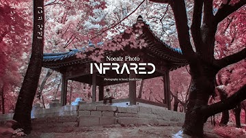 DNG Profile Editor: The Secret to Perfect IR Photos