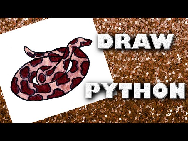 How To Draw A Python Easy