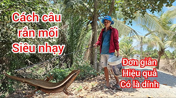 Cách câu rắn mối không lưỡi siêu nhạy cho người mới bắt đầu.