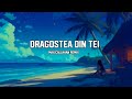 O Zone Dragostea Din Tei Max Callahan Remix O Zone Dragostea Din Tei Max Callahan Remix
