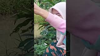 cewek cantik mancing copot sarungnya #shorts #mancing #cantik