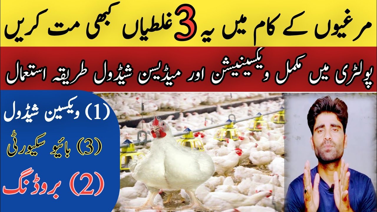 poultry-vaccination-schedule-for-broiler-poultry-farming-in-pakistan