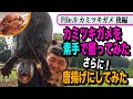 前回に引き続きカミツキガメを”素手”で続々捕獲！解体し絶品唐揚げに！　天然食材ハンター谷田圭太の野人塾　File9 《カミツキガメ 後編》