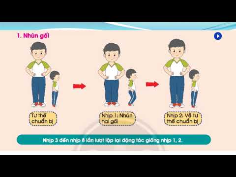 Thể dục-Thể dục nhịp điệu:Các tư thế chân và tay cơ bản, kết hợp nhún gối