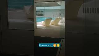 Agua salada #diy #shortsyoutube #balneario #shortsviral #summer #verano #short #shorts #naturaleza