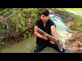 Survival in the rainforest - Wow today man catch big eel to cook with cauliflower - Eating delicious