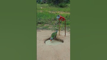 Best DIY quail trap with Cans & Cardboard #shortvideo #birdtrap #ytshorts