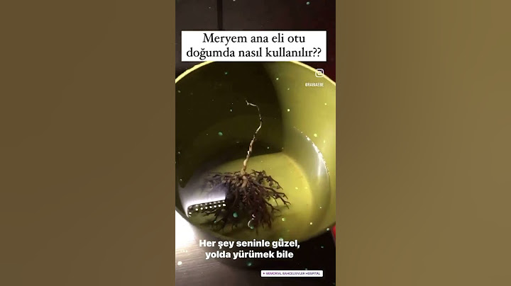 Meryem ana eli otu doğumda nasıl kullanılır? Fatma ana eli otu nedir?