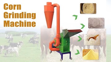 High Efficiency Corn Mill Working Video | Maize Grinding Machine for Animal Feed #animalfeed