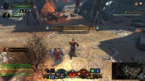 Neverwinter when Your companion glitches