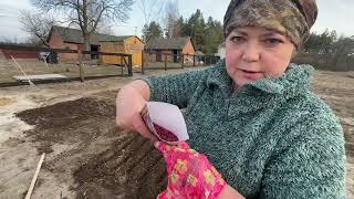 Сад огород от Светланы. Делаю всё как Вы советуете! Зелени много не бывает. Работа до первой звезды! Видео: Сад огород от Светланы. Делаю всё как Вы советуете! Зелени много не бывает. Работа до первой звезды!
