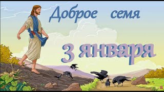 3 января "Доброе семя", аудиокнига-календарь на каждый день