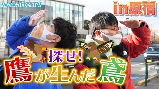 高学歴な親と低学歴な子!? 探せ！