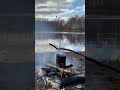 Осень…. #nature #природа #shortvideo #wildlife #дикаяприрода #сибирь  #carpfishing #лесной #осень