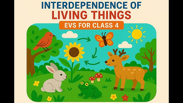 Part 1: Interdependence Of Living Things, Plants & Animal for Class 4th CBSE