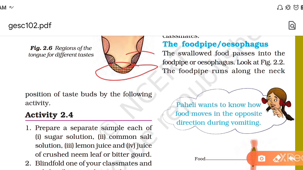 Nutrition in Animal Part-2 | Science class 7 Chapter 2 NCERT (English