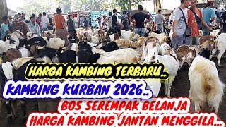 Bos Kambing Serempak Belanja Harga Kambing Langsung Menggila