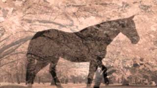 Video thumbnail of "Tony Benn - Black Horse"