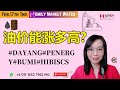 马股投资|Bursa Malaysia|油股还能涨多高？#DAYANG#PENERGY#BUMI#HIBISCS#Homilychart#六彩神龙