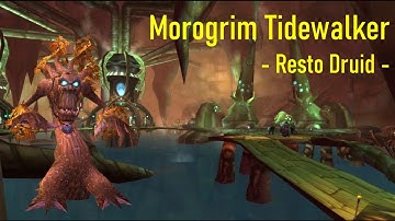 [Classic TBC] SSC Morogrim Tidewalker - Resto druid POV