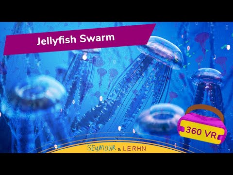 JELLYFISH SWARM VR 360 Experience