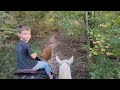 Hard Labor State Park blue Horse Trails